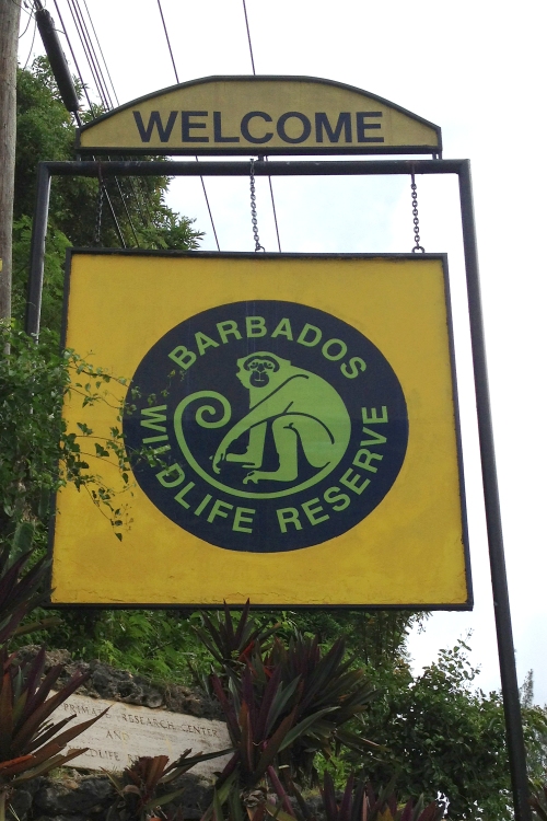 Barbados 046